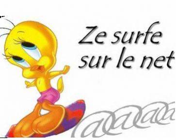 titi ki surf